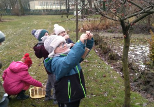 Dzieci wieszają karmidełka na drzewku w ogrodzie przedszkolnym
